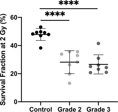 NFATC2 Modulates Radiation Sensitivity in Dermal Fibroblasts From Patients With Severe Side Effects of Radiotherapy